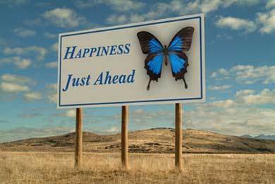 Happiness Sign Butterfly